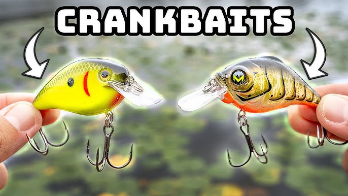 How To Carolina Rig a CrankBait 