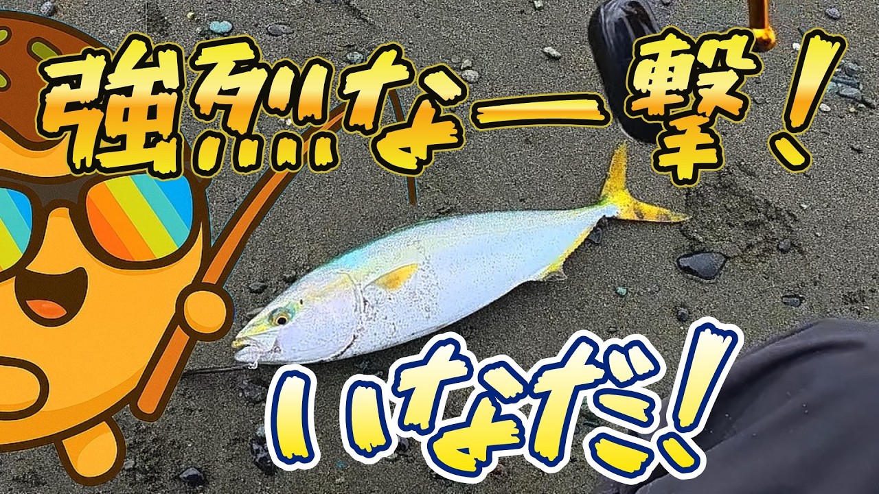 【ショアジギング】雨上がりのサーフで釣る！強烈な一撃！！！イナダ！青物釣り！