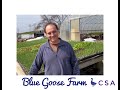 Blue Goose Farm CSA Nicktown PA