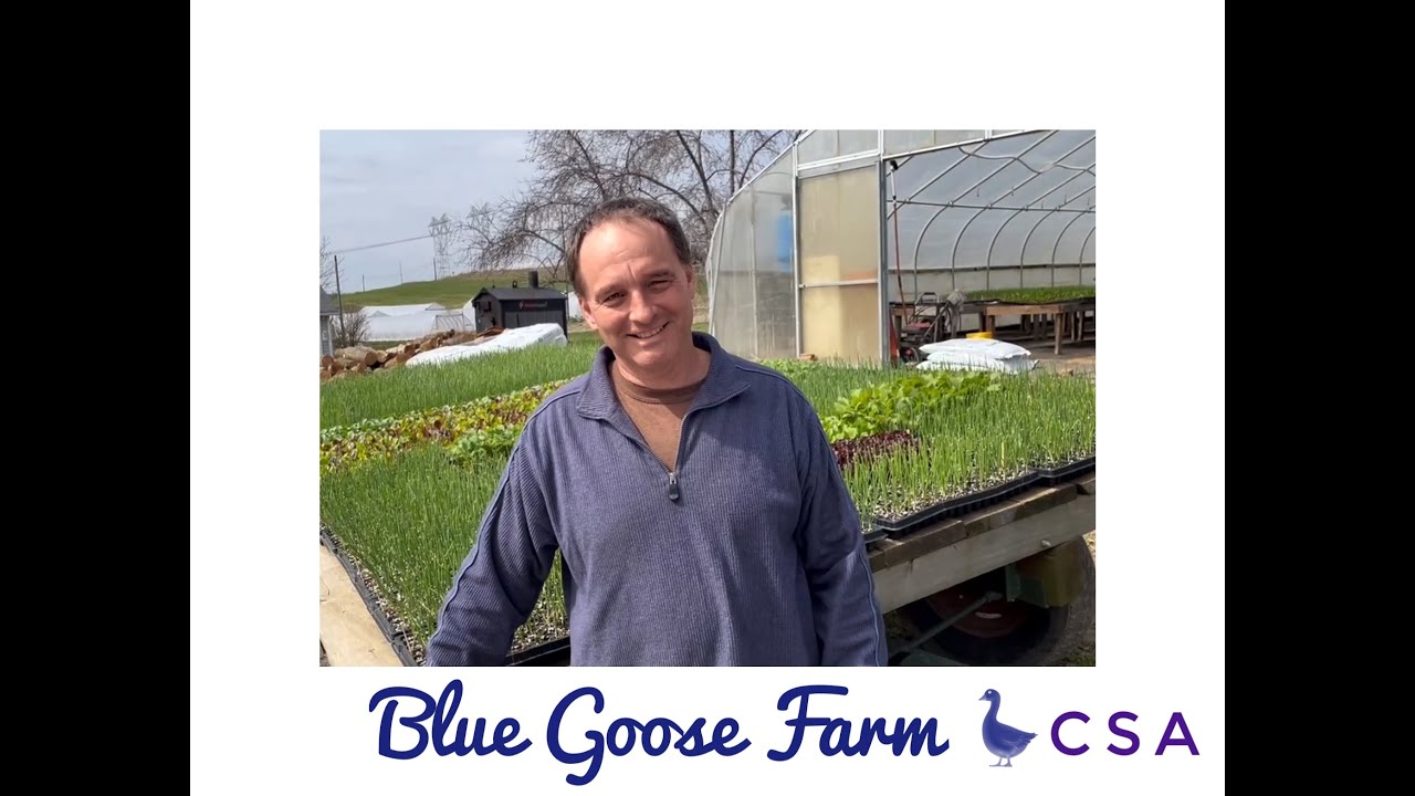 Blue Goose Farm CSA Nicktown PA