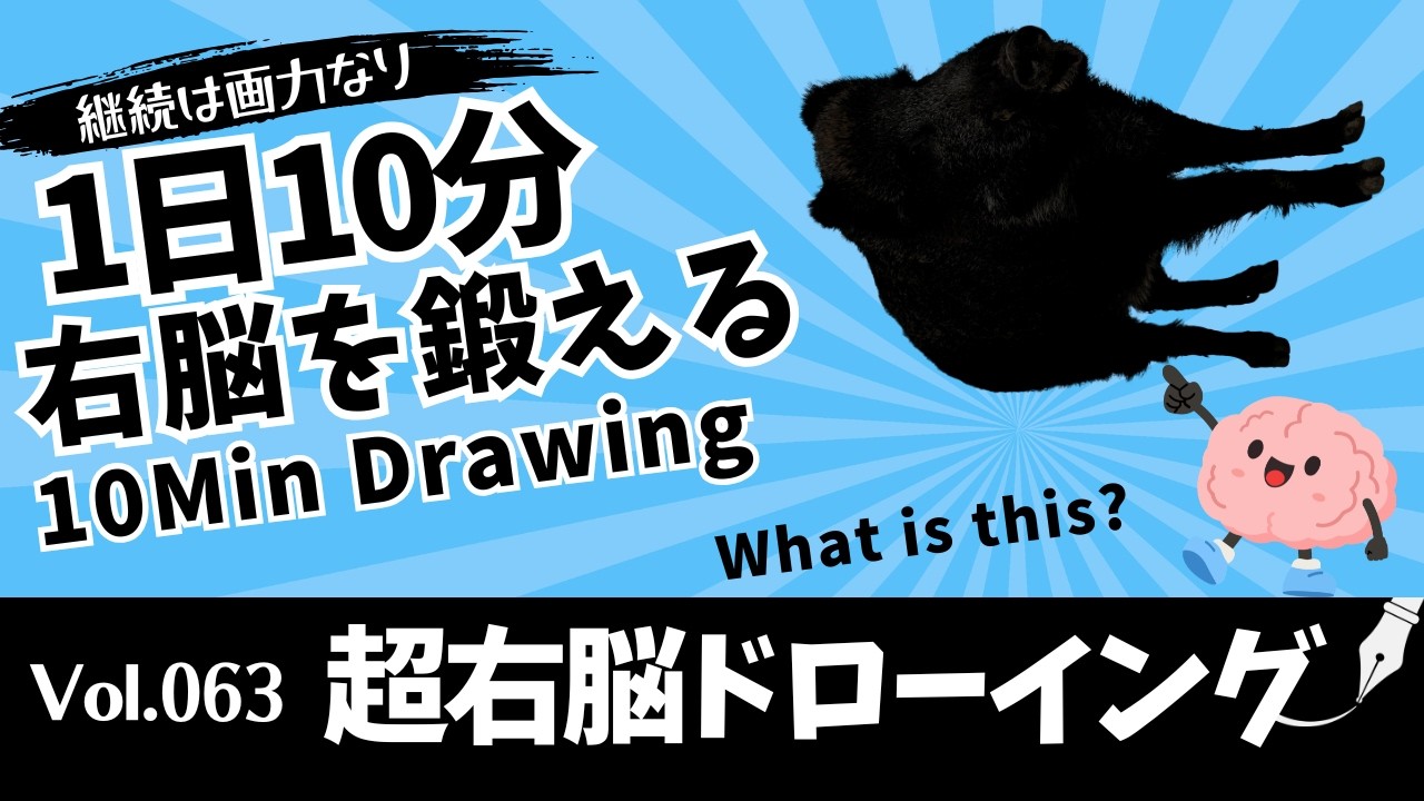 ❰大幅お値引き❱Dr.Brain 基本編 特別編 Super Right-Brain Drawing Vol.063 | 10-Minute Daily Drawing
