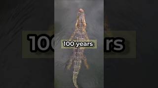 😳 কুমির বুড়ো হয়ে মরে না!#bengalifacts #facts #animalfact#shorts #viral