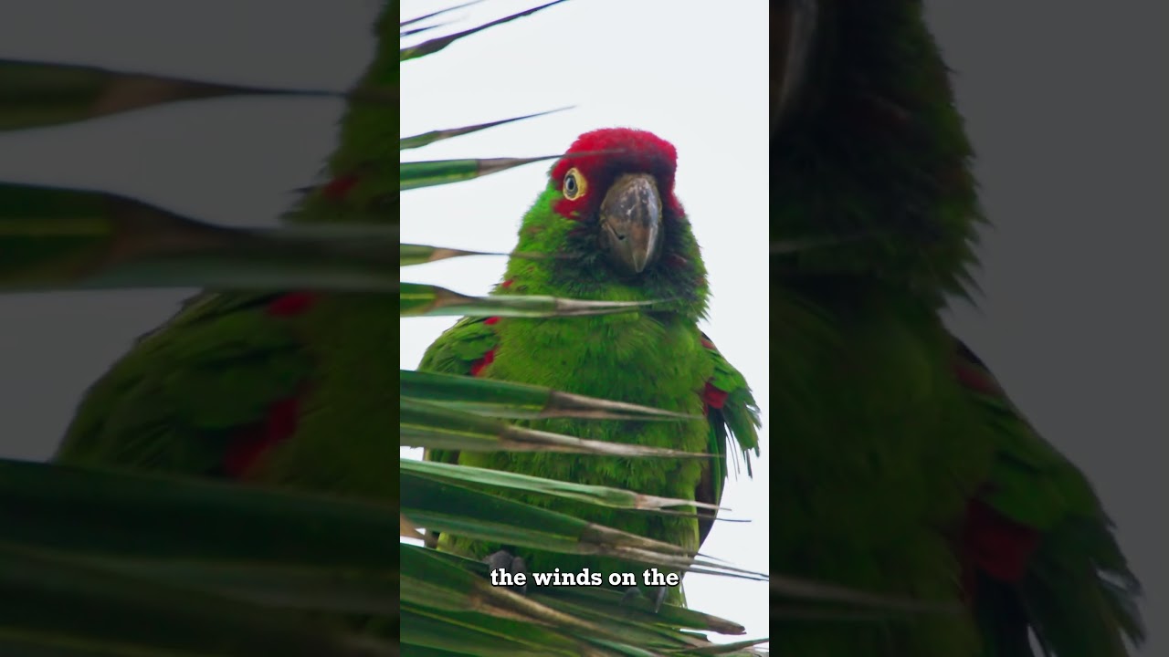 Cruising Guatemala: Humidity, Rain & Why It's a Perfect Storm Refuge