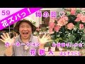 母の日！カーネーションの育て方【花ズバっ】59旬の花とその使いかた紹介/花創人ガーデニング教室