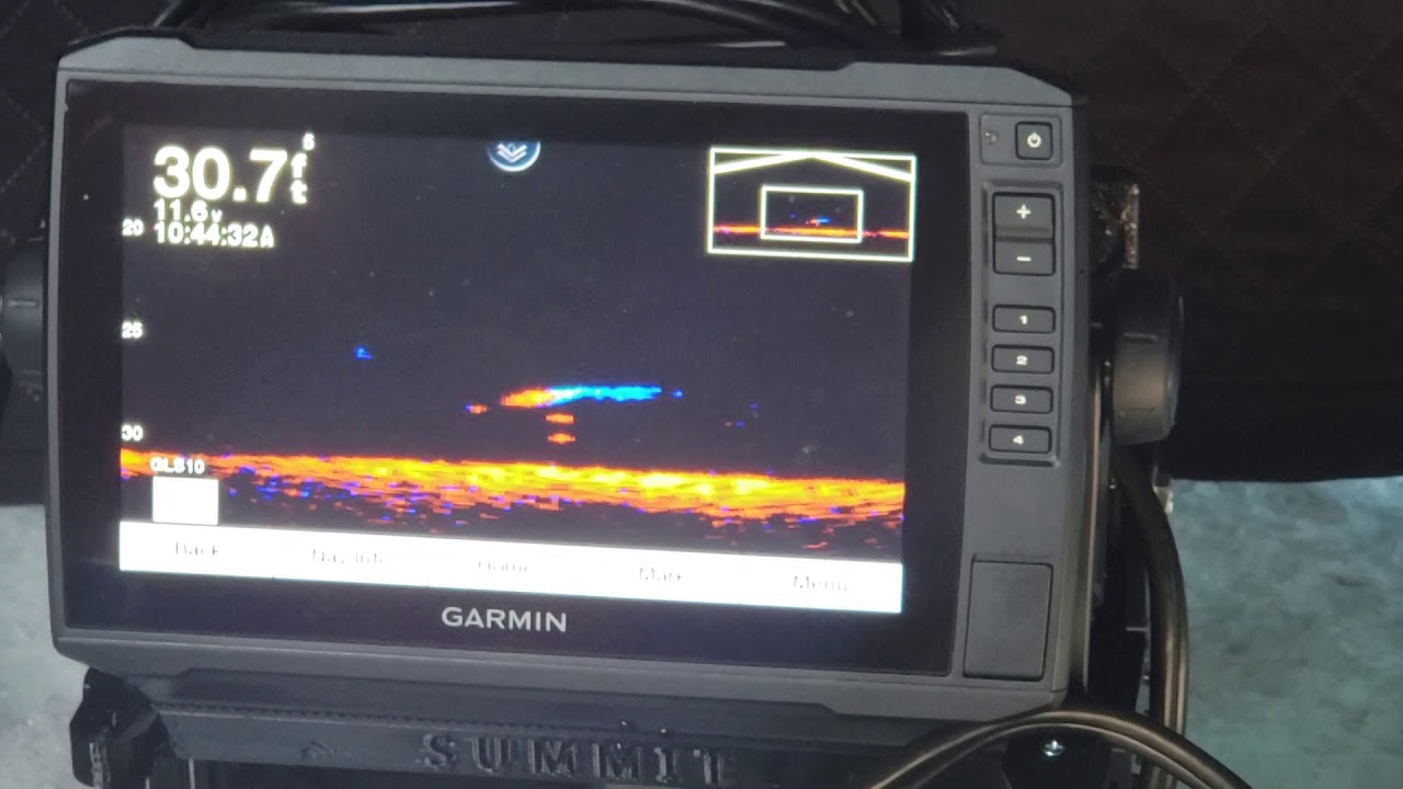 Fish on Livescope YouTube