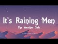 The Weather Girls - It&#39;s Raining Men (Lyrics)