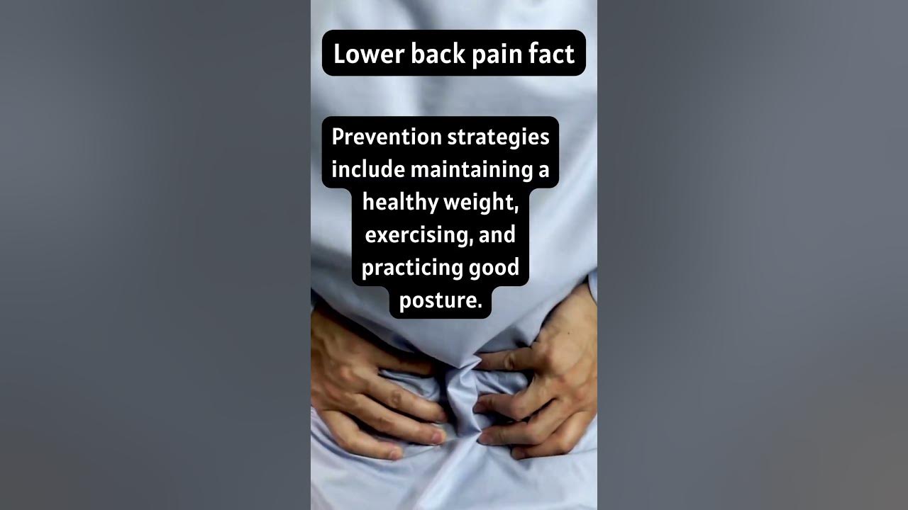 can-lower-back-pain-be-prevented-shorts-lowerbackpain-youtube