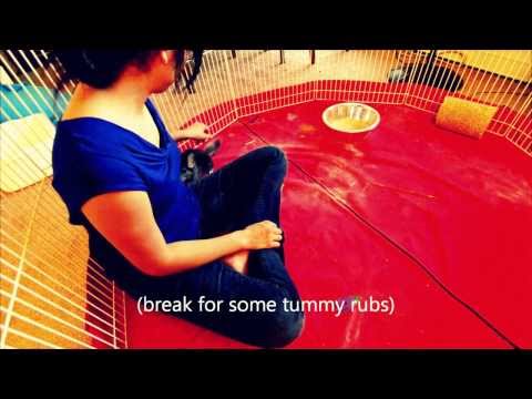 YouTube video