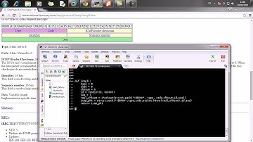 Manual Packet Injection in python using raw sockets  [ By Pentestingskills ]