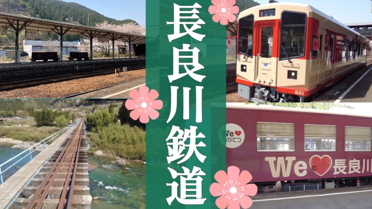 長良川鉄道 🚞川と橋に癒される✨ナガラ600形に乗る【鉄印の旅】【大人女子ひとり旅🎒】