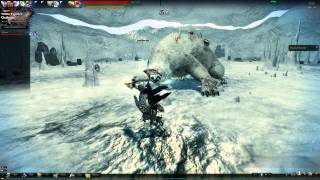 Vindictus (Mabinogi Heroes) - Fiona Hammer - Practicing Counter Attack
