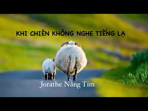 Bài 06 - KHI CHIÊN 🐑KHÔNG NGHE TIẾNG LẠ 🌿