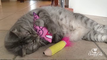 September KitNipBox review