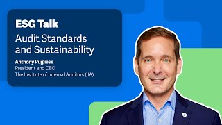 Audit Standards and Sustainability