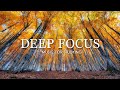 Deep Focus Music To Improve Concentration - 12 Hours of Ambient Study Music to Concentrate #594