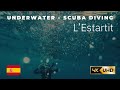 L'Estartit Underwater - Scuba Diving - 2019