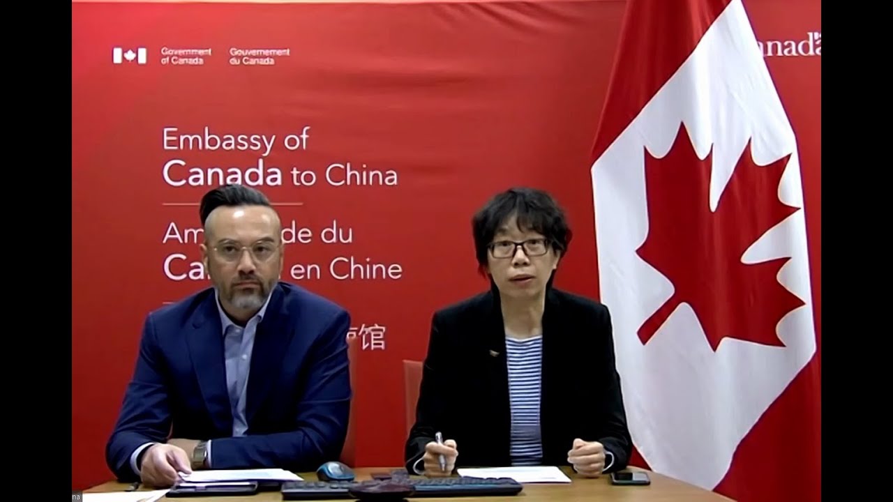 China Canada Pea and Flaxseed Trade Online B2B