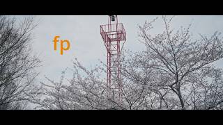 SIGMA fp CinemaDNG 12bit RAW Film look