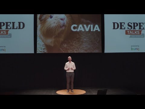 De Speld Talks: voor iedereen een basiscavia