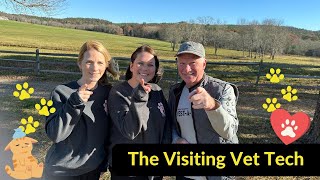 Meet Plymouth's Mobile Pet Care Expert: The Visiting Vet Tech