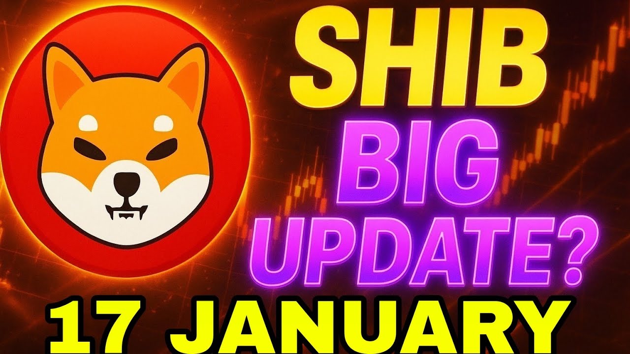 Shibainu Coin (17 january) Big Update 😍  Shib Coin New Update Today | Shibainu Crypto News