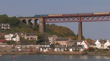 The Cathedrals Explorer, Bittern on the Forth Bridge