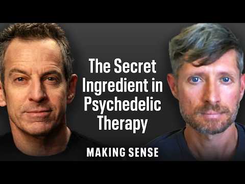 Is Psychedelic Therapy Ready for FDA Approval?
