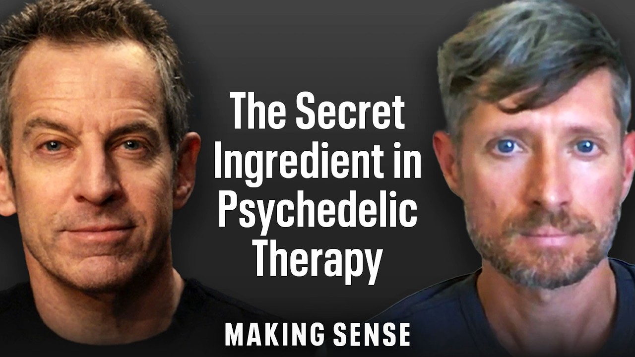 Is Psychedelic Therapy Ready for FDA Approval?