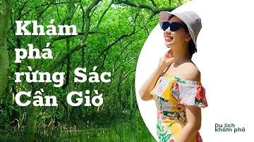 Du lịch | Loại cây kì lạ ở Rừng Sác Cần Giờ | Thái Phương Anh