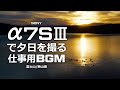 【仕事用BGM】1時間 / 富士山＆狭山湖 / α7SⅢ
