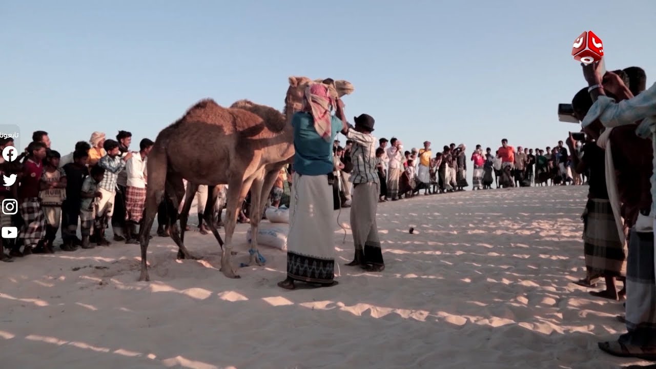 شاهد شباب سقطرى في مسابقة القفز من فوق الجمال |  رحلة حظ 2