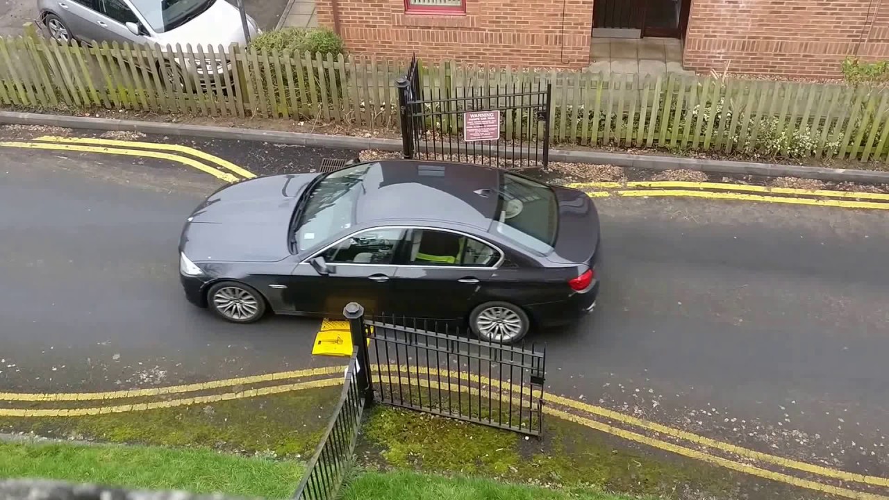 Noisy! Alligator Teeth at Cape Road Car Park Warwick YouTube