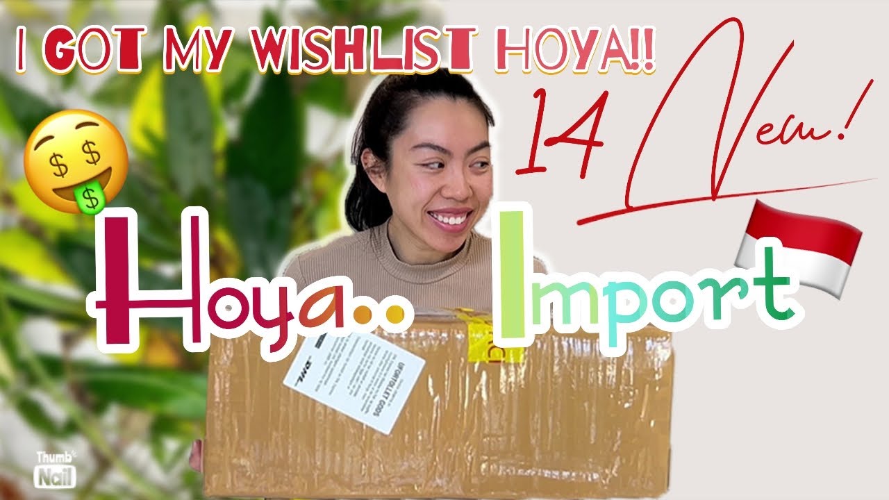 📦MOST EXOTIC HOYA Unboxing 🤑 | Indonesia Import | Alby Garden