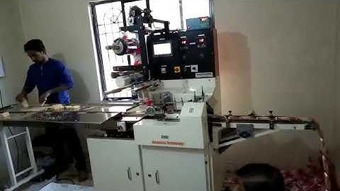 Horizontal Flow Wrap Machine (PLC Base) With Batch Code Printing