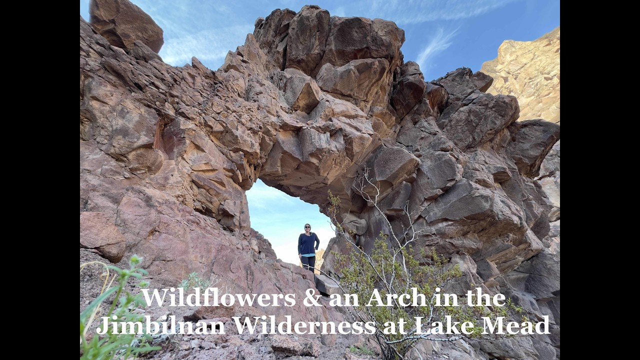 Wildflowers and S Cove Arch in the Jimbilnan Wilderness