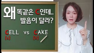 [영어파닉스] 호주와서 알게 된 스펠링 법칙 3가지 screenshot 3