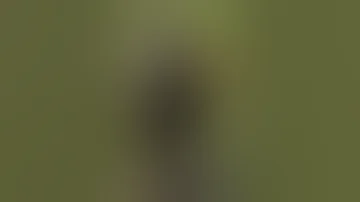 Donkey Has Something Urgent To Say ViralHog 