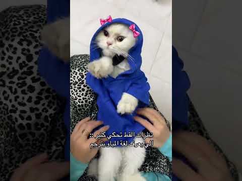 مو عاجبو اللون اكسبلور     