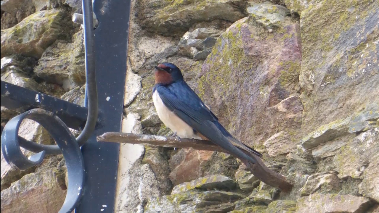 MONFRAGÜE, febrero 2017