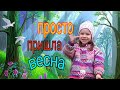 Просто так  Аня весело гуляет по красивому весеннему лесу Fun do it