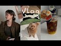 1人1狗Vlog | GRWP💄小狗家装品含量超高、壮的隐藏技能、超快手橙c美式一锅出