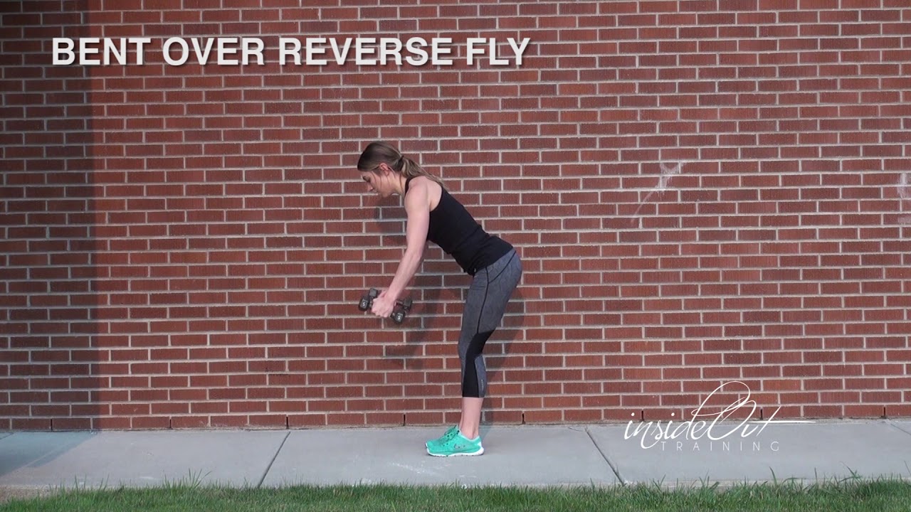 Bent Over Reverse Fly - YouTube