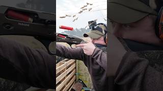 Decoying Wood Pigeons with Fabarm XLR Columba Palumbus Semi Auto Shotgun 💥#pigeonhunting #hunting
