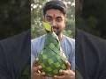 Making a GIANT Pear from Leaves 😳🍃 | 8s Satisfying Craft #shorts