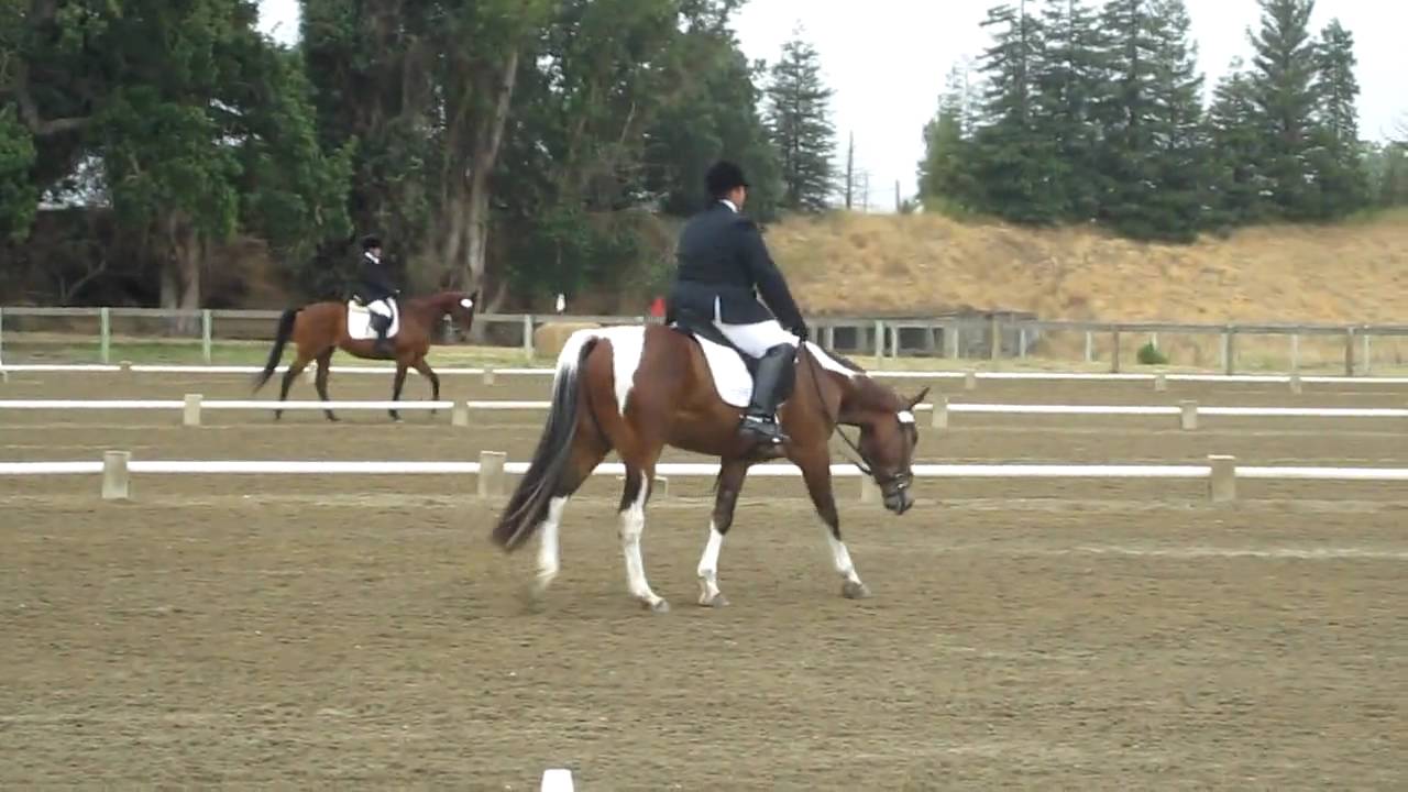 Sarah Riding Donnie Dressage at Shepherd - YouTube
