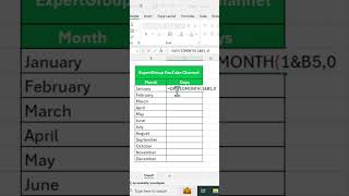 Master the EOMONTH Formula in Excel! 📅✨ Quick Tips & Tricks 💡💯 #excel #exceltips #shorts