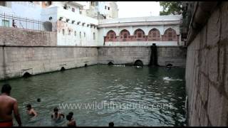 Olympians or Delhi local divers, Nizamuddin baoli