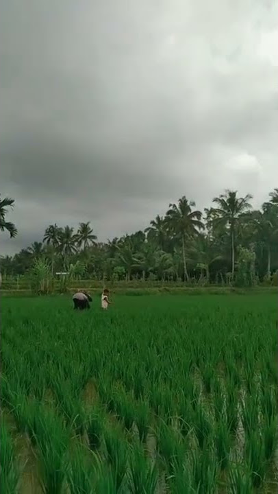 ketika semua orang menghina,,, 😔😔 Diam lebih baik