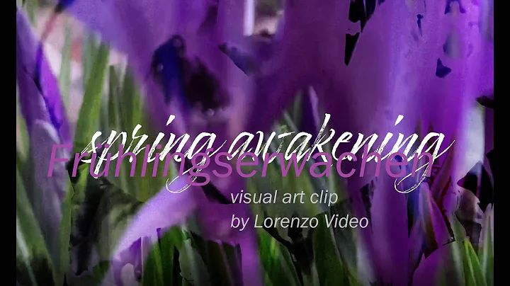 spring awakening - visual art clip by Lorenzo Video