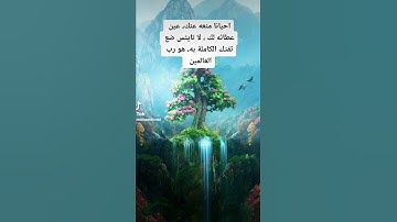 من سورة المنافقين :❤️❤️❤️❤️القارئ: أحمد المصري